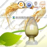 Panax Ginseng Extract 80% Good Quality From China