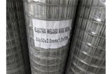 Weld Wire Mesh with Different Grade