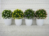 Artificial Plastic Potted Flower (XD15-374)