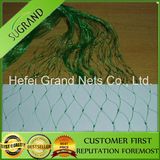 Extruded Anti-Bird Net, Diamond Trammel Nets