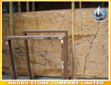 Wholesale Rain Forest Marble Slab Factory Direct