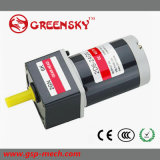 10W 12V Brushed DC Gear Electric DC Motor