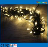 LED Outdoor String Light Fairy Wedding Decoration