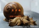 Resin Snail's Home for Animal Sculpt Decoration