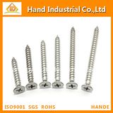 Stainless Steel Phillips Csk Head Fasteners Tapping Screw