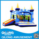 Commercial Playground Inflatable Sport Slide (QL-D090)
