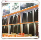 Film Faced Plywood Pizhou Manufacture/Construction Plywood
