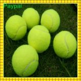 Hot Selling Sport Practice Exercise Tennis Ball (GC-TB001)