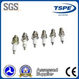 Motorcycle Parts------Motorcycle Spark Plug