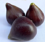 Artificial Fruit Fig for Decoration