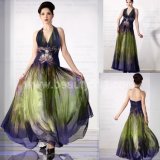 Printed Chiffon Evening Dress (ZSZ016)
