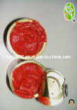 Tomato Paste in Can Birx 28-30% 850g