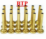 Titanium Coating Tungsten Machine Part Tubes (BTP-A043)