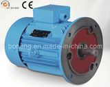 Y-Electric Motor