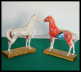 High Quality Acupuncture Animal Model-Horse (M-6H)