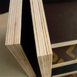 Hot Sale 18mm Construction Plywood From Linyi