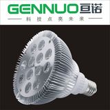 LED Spotlight (GN-SDB-1117 PAR38)