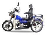 Handicapped Tricycle (DTR-1)