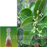 High Quality 100% Pure Natural Methyl Salicylate