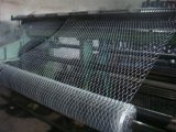 Hexaognal Wire Mesh Mesh Products