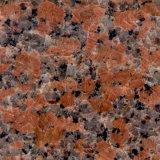 Factory Supply Polished Maple-Leaf Red Granite