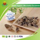 Manufacture Supplier Dried Organic Morchella Esculenta