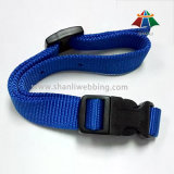 Blue Color Nylon Webbing Pet Products, Dog Collar