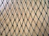 Knotted Netting