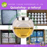 Quizalofop-P-Ethyl (95%TC, 5%EC, 10%EC, 200EC, 8.8%EC, 7.5%EW)