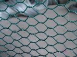 Galvanized Chicken Wire Netting (Bird Cage)