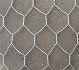 Hexagonal Wire Mesh