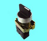 Pushbutton Switch (JXB2-BD21)