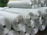 Ss Welded Wire Mesh