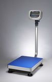 Weighing Scale