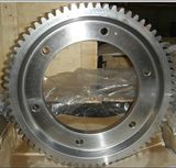 Custom-Made Gear Part Gear and Worm