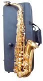 Alto Saxophone/ Ym875 Model Saxophone (AS-Y875)