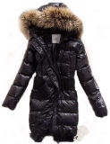 2010 New Style Women's Winter Coat (Accept Paypal)