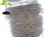 Compound Fertilizer Diammonium Phosphate (DAP)