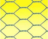 Hex Wire Mesh