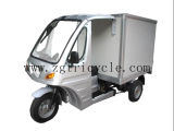 250cc Petrol Refrigerator Tricycle