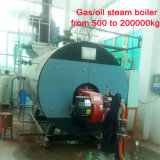 Steam Boiler Gas Capacity of 1 Ton Per Hour for Expanding Polystyrene