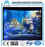 Decoration for Aquarium/Fish Aquarium/Glass Aquarium