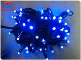 Decoration LED Christmas Lighting