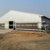 Steel Structure Broiler Shed