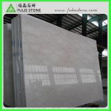 Hot Sale Natural Polished Shell Beige Marble