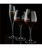 Wine Glasses; Champagne Flute; Glassware; Glasses