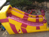 Newest Inflatable Slide