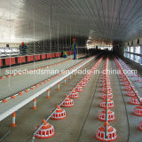Full Set High Quality Automatic Poultry House Equipment