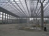 Roof Grid Cover Space Frame/Steel Structure