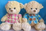 Teddy Bear Plush Toy, Recordable Stuffed Toy